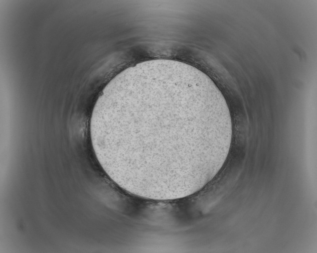 X0000111350125200908071141