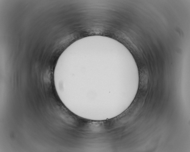 X0000111350126200908071141
