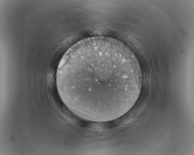 X0000111350127200908071141