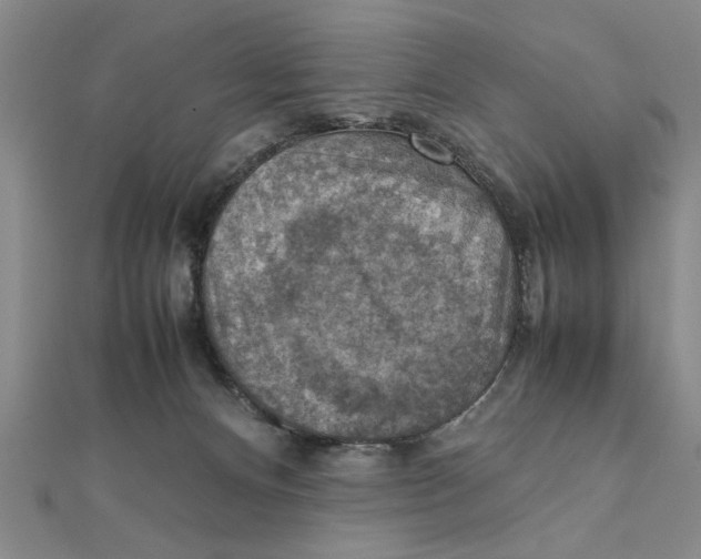 X0000111350128200908071141