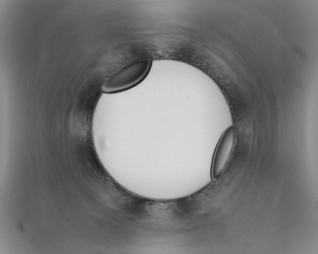 X0000111350129200908071141