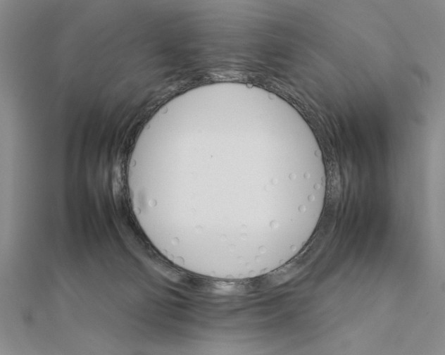 X0000111350130200908071141