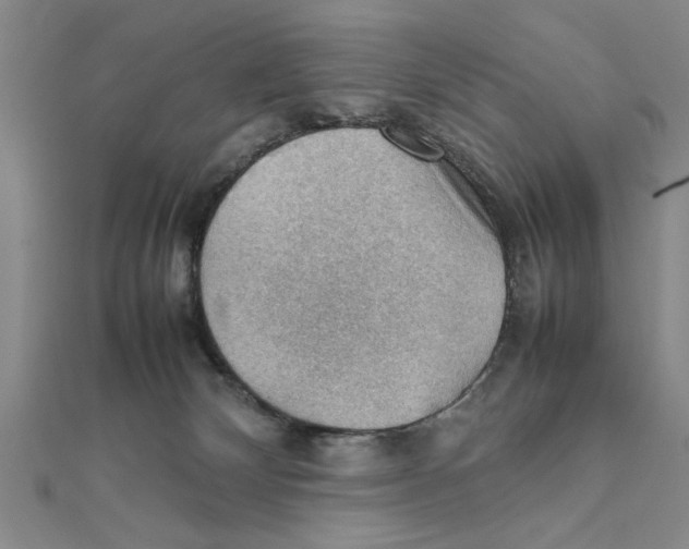 X0000111350132200908071141