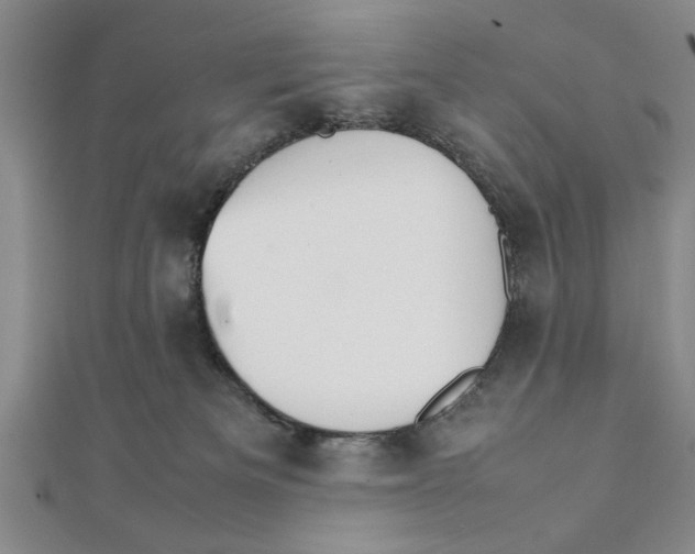 X0000111350133200908071141