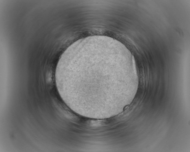 X0000111350134200908071140