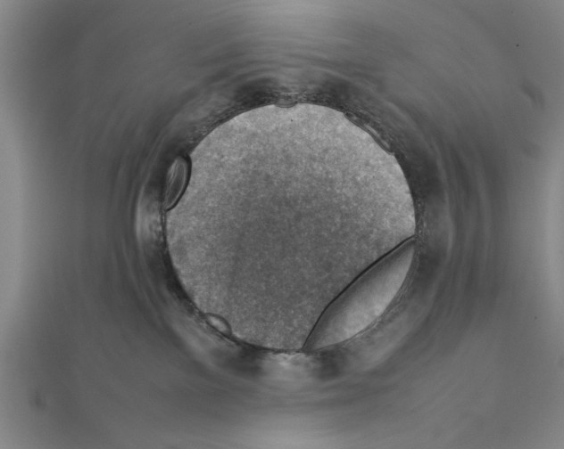 X0000111350137200908071140