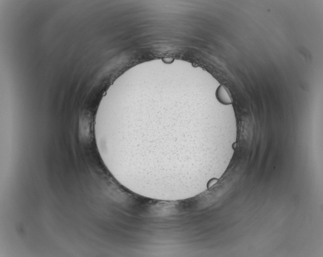 X0000111350138200908071140