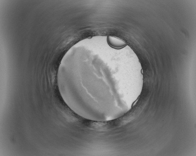 X0000111350139200908071140