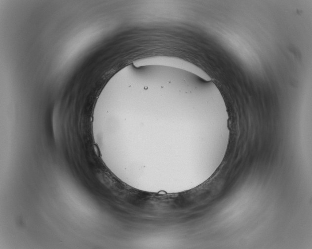 X0000111350140200908071140