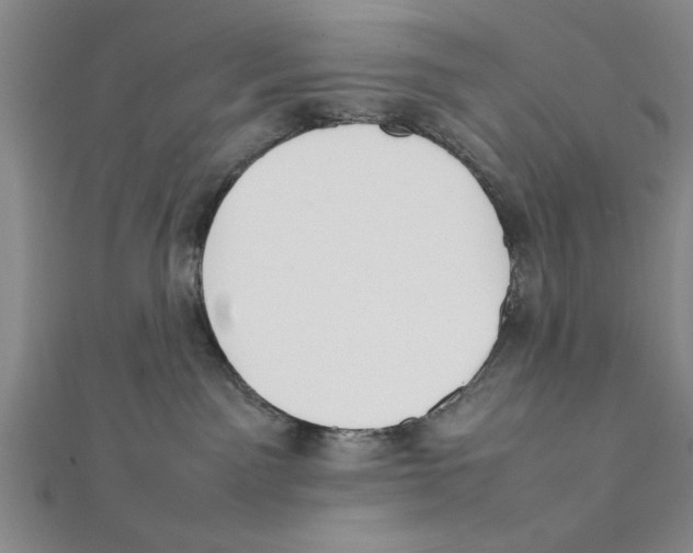 X0000111350141200908071140