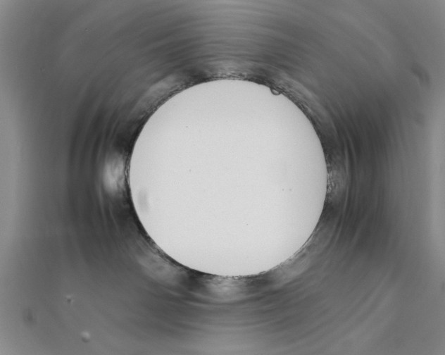 X0000111350142200908071140