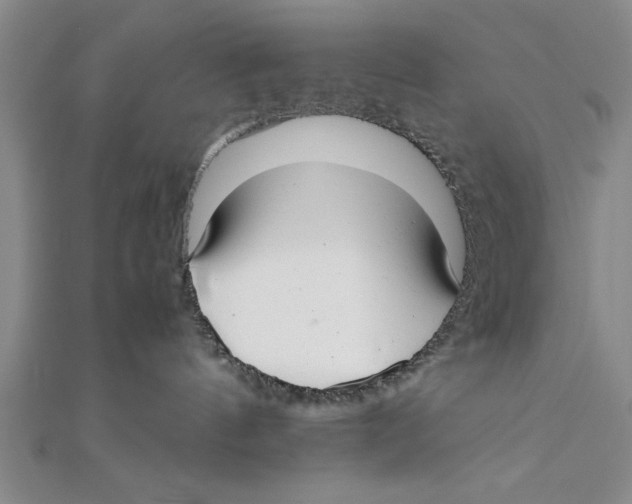X0000111350144200908071140