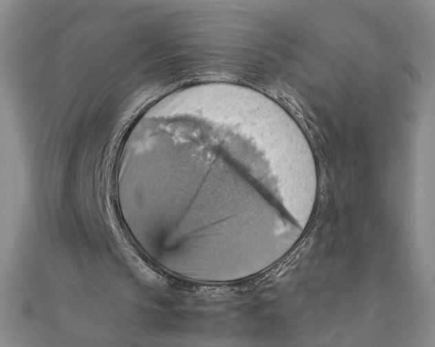 X0000111350145200908071140