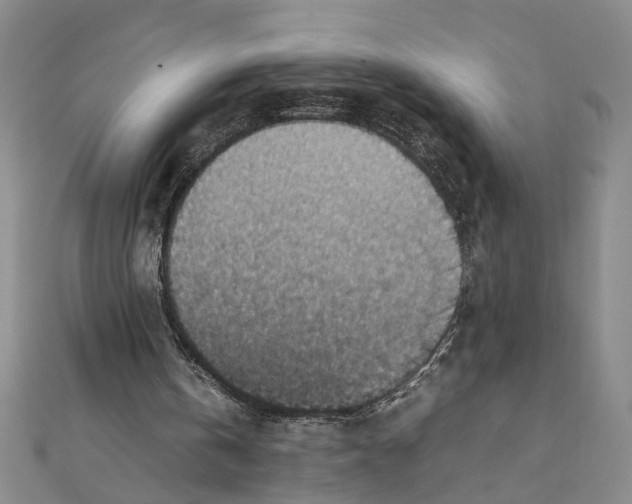 X0000111350146200908071140