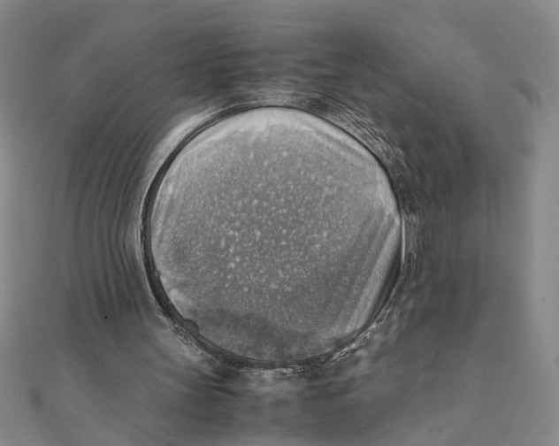 X0000111350147200908071140