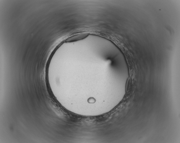 X0000111350148200908071140