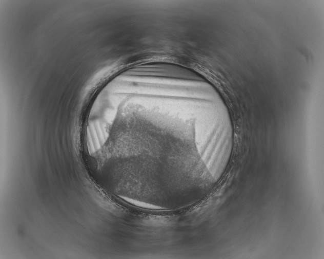 X0000111350149200908071140