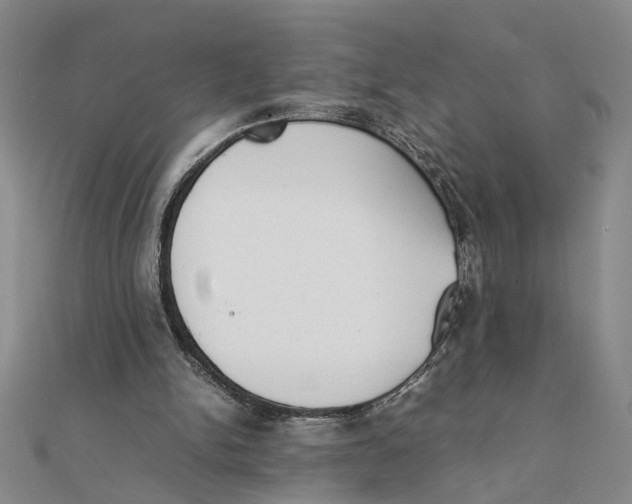 X0000111350150200908071140