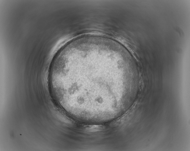 X0000111350151200908071140