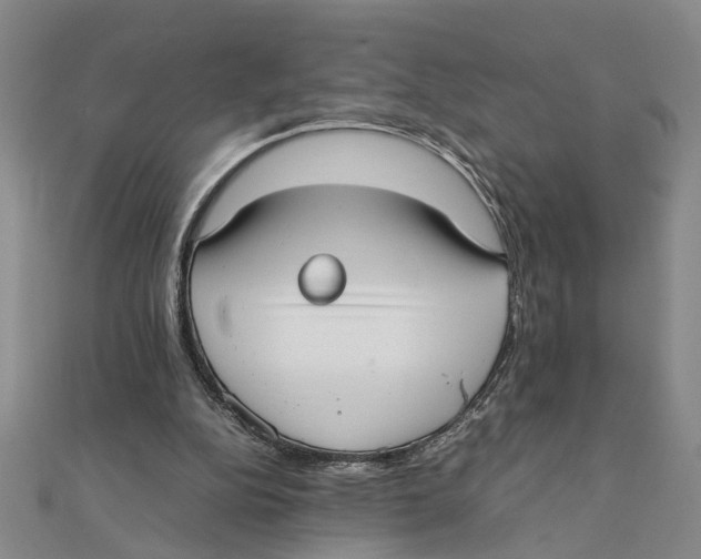 X0000111350152200908071140