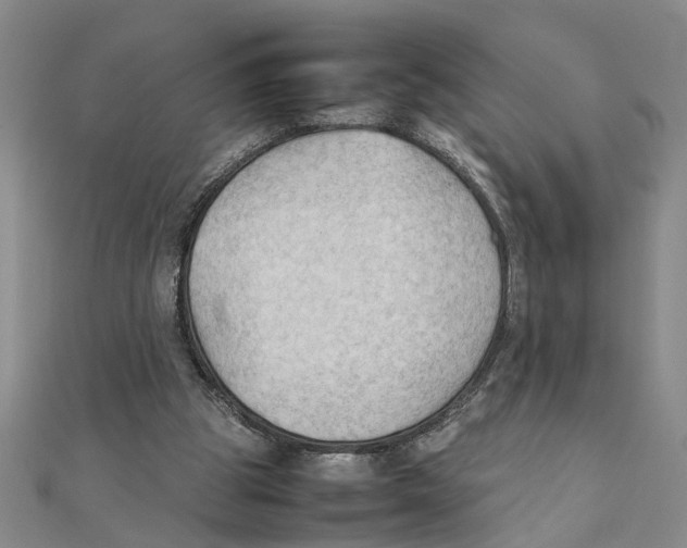 X0000111350153200908071140
