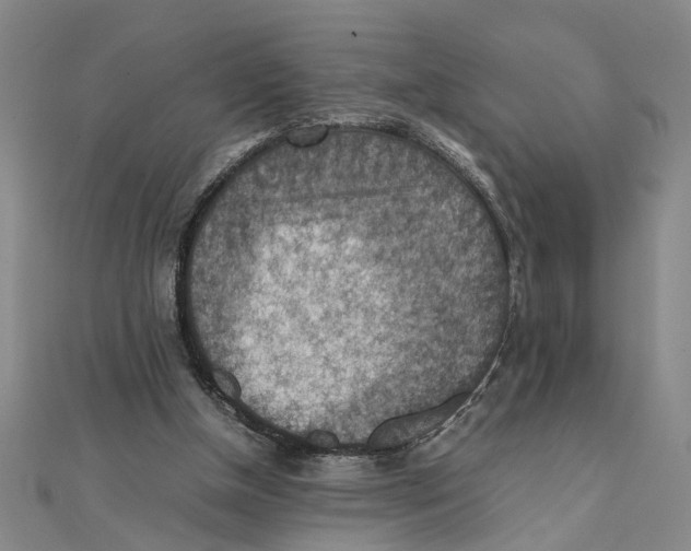 X0000111350154200908071140