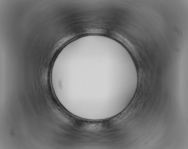 X0000111350155200908071140