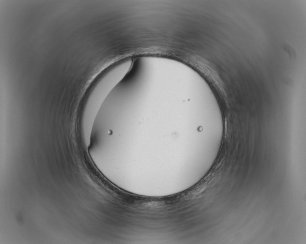 X0000111350156200908071140