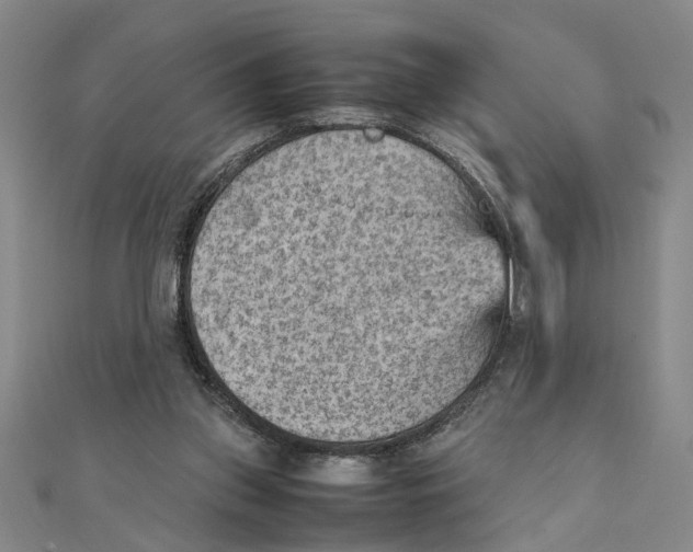 X0000111350157200908071140