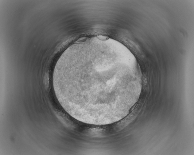 X0000111350158200908071140