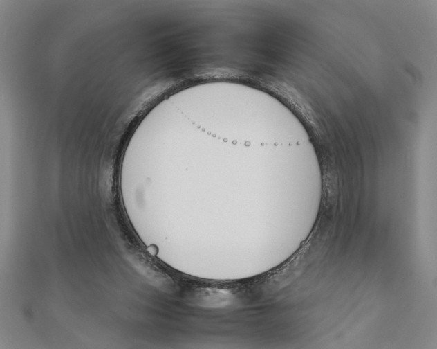 X0000111350159200908071140