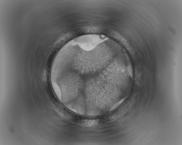 X0000111350161200908071140