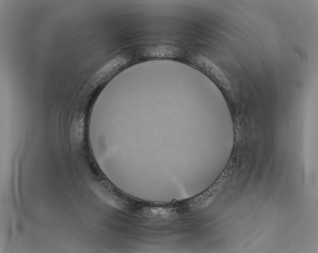 X0000111350163200908071140