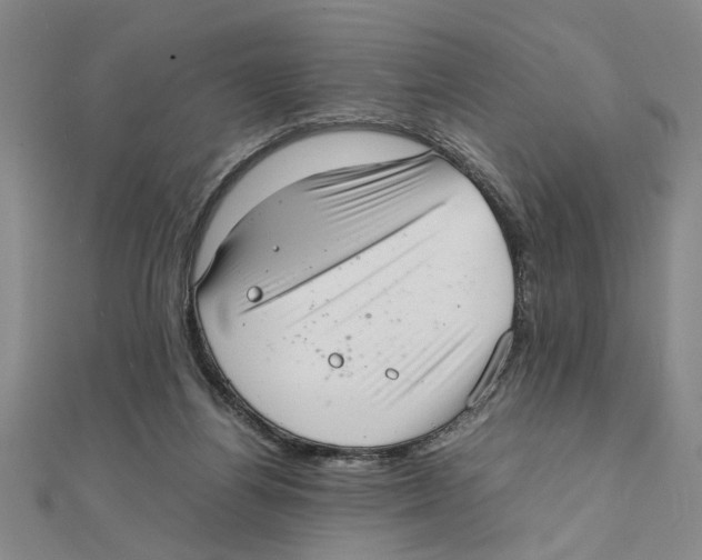 X0000111350164200908071140
