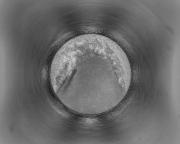 X0000111350165200908071140