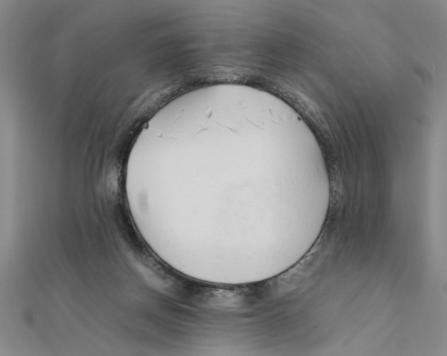 X0000111350166200908071140