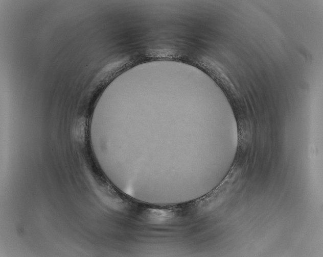 X0000111350167200908071140