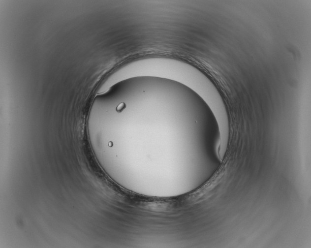 X0000111350168200908071140