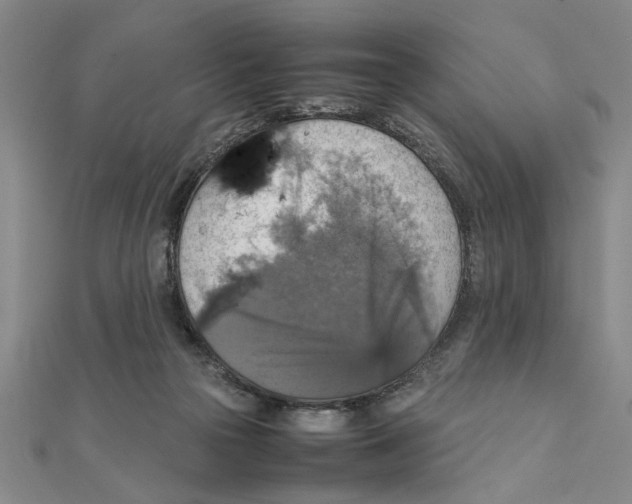 X0000111350169200908071140