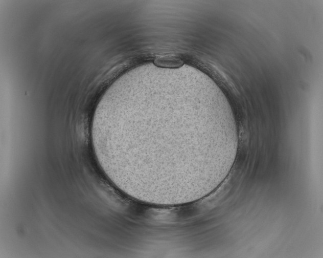 X0000111350170200908071140