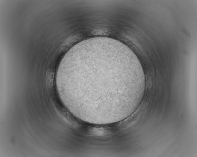 X0000111350171200908071140