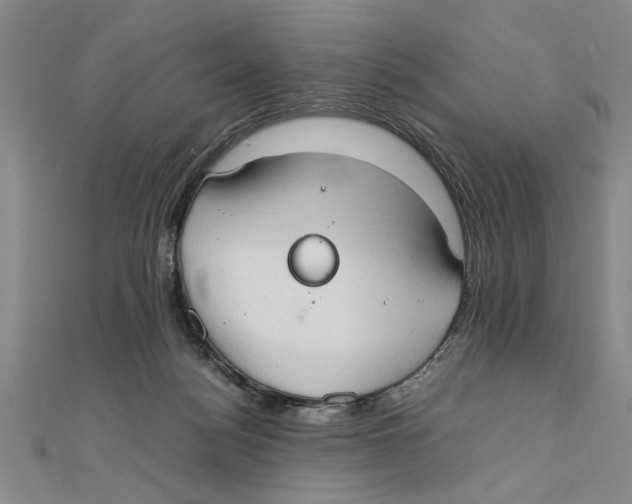 X0000111350172200908071140