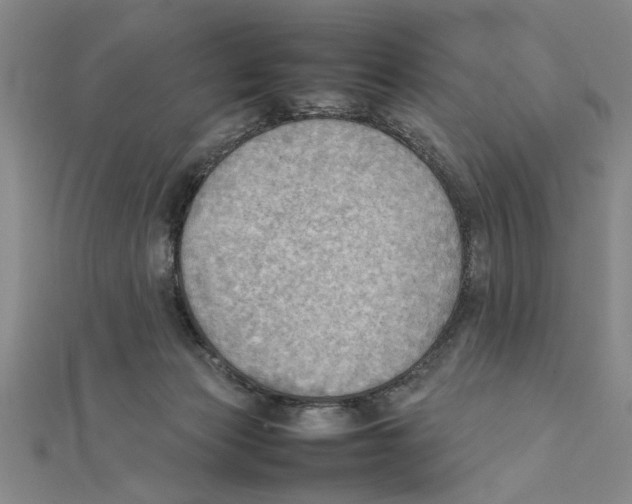 X0000111350173200908071140
