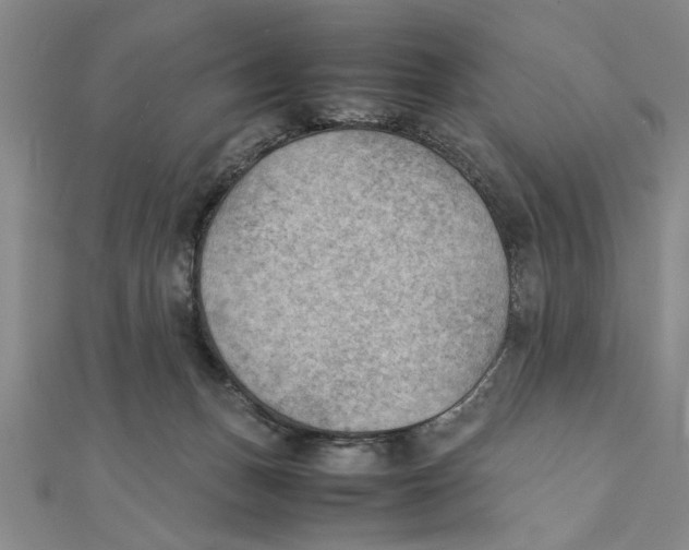 X0000111350175200908071140