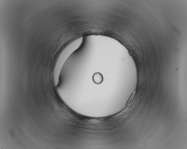X0000111350176200908071140