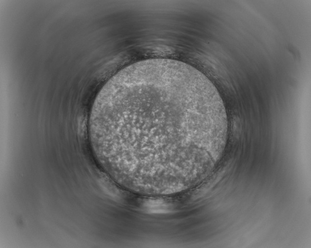 X0000111350177200908071140