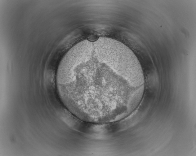X0000111350178200908071140