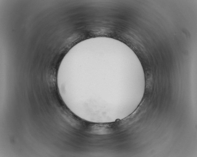 X0000111350179200908071140