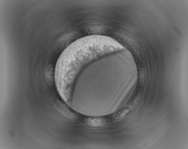 X0000111350181200908071140