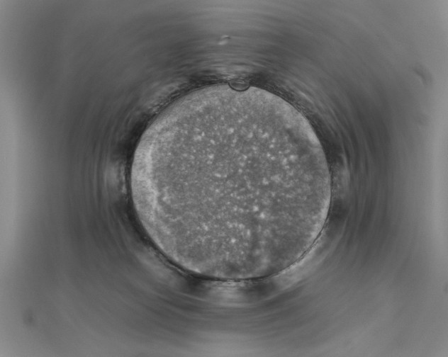 X0000111350182200908071140